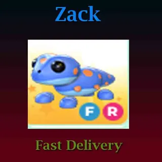 Gecko FR (Full Grown)