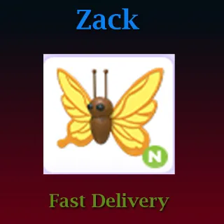 Pet | Neon Yellow Butterfly