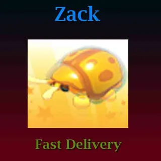 Golden Tortoise Beetle (Full Grown)