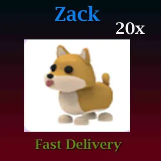 20X Shiba Inu