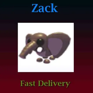 Bush Elephant (Full Grown)