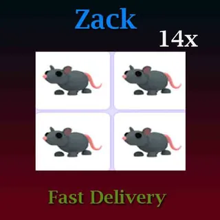 Rat 14X