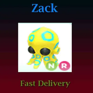 NR Blue-Ringed Octopus 