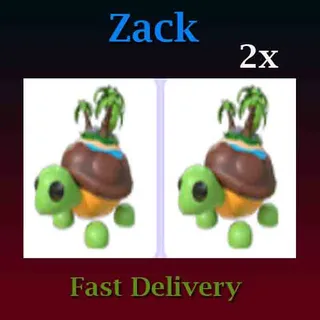 2X Tortuga de la Isla