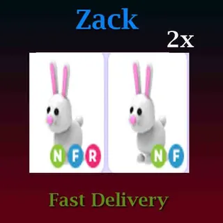 Bunny Neon 2X