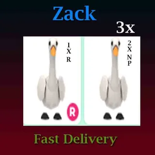 Swan 3X