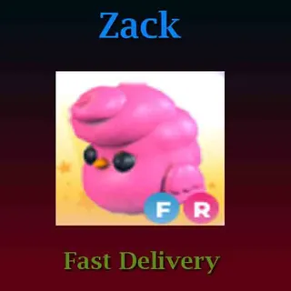 FR Candyfloss Chick (Full Grown)