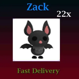 22X Bat