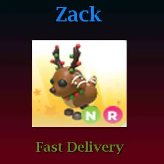 Pet | NR Gingerbread Reindeer