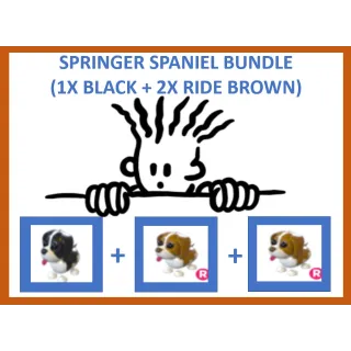 Springer Spaniel Bundle