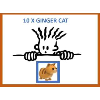 10x Ginger Cat