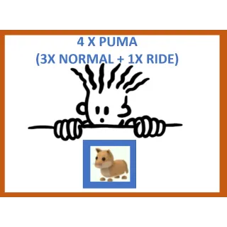 4x Puma (3x Normal + 1x Ride)