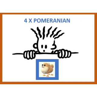 4x Pomeranian