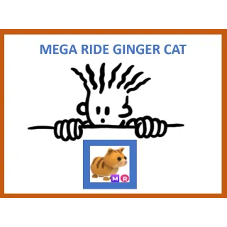 MR Ginger Cat