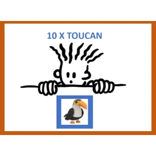 10x Toucan