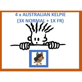 4x Australian Kelpie (3 Normal 1 FR)