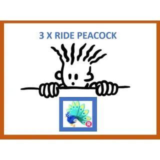 3x Ride Peacock