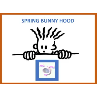 Spring Bunny Hood