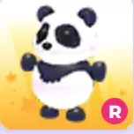 r giant panda