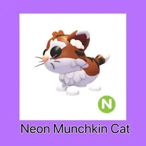 N munchkin cat