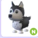 n Husky