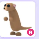 r meerkat