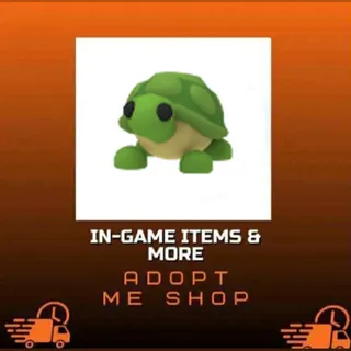 4x TURTLE