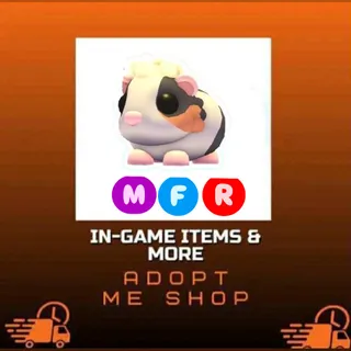 MFR TORTOISESHELL GUINEA PIG