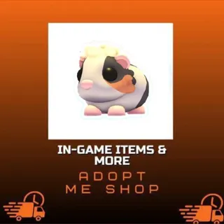 TORTOISESHELL GUINEA PIG