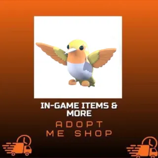 10x Golden Hummingbird