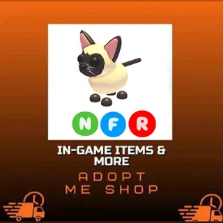 NFR SIAMESE CAT