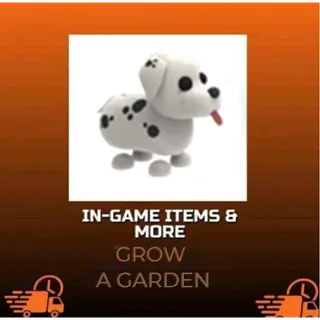 Dalmatian