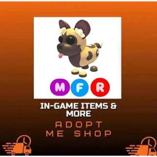 MFR AFRICAN WILD DOG