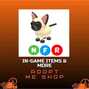 NFR SIAMESE CAT