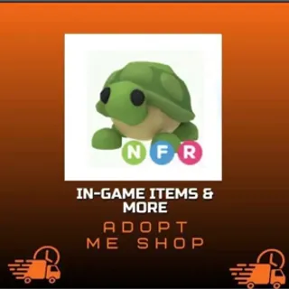 NFR TURTLE