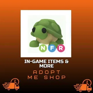 NFR Turtle