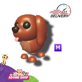 Mega Irish Setter
