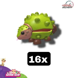 16x Chestnut Glyptodon