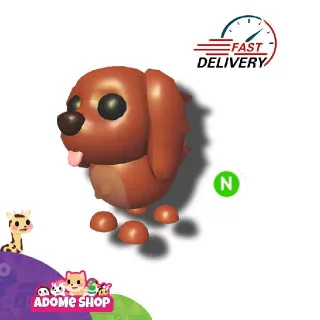 Neon Irish Setter