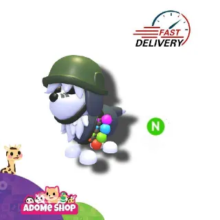 Neon General Sheepdog