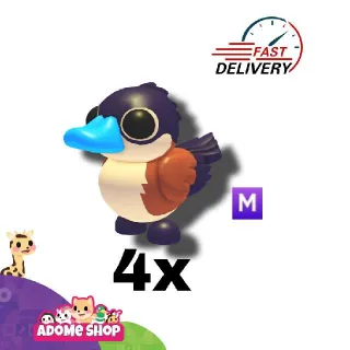 4x Mega Ruddy Duck
