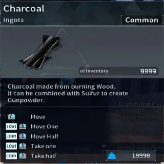 Palworld 9999x Charcoal