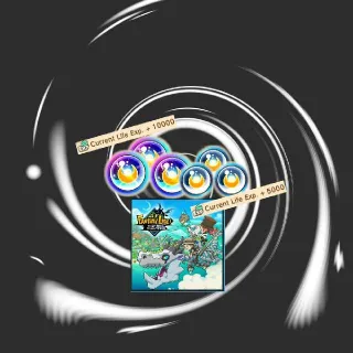 Fantasylifei DLC Exp Sphere bundle