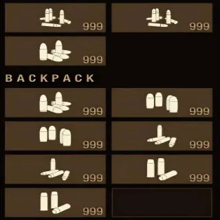 State Of Decay 2 Ammo Bundle