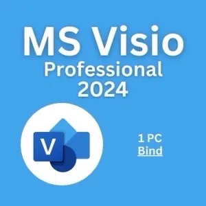 Visio 2024 Professional 1PC [BIND]
