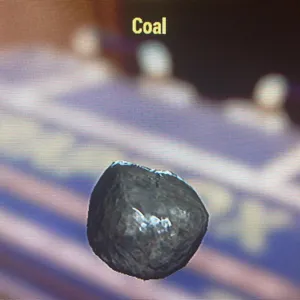 1000 coal