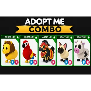 PARROT FR COMBO