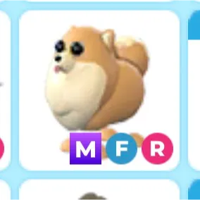 mfr Pomeranian