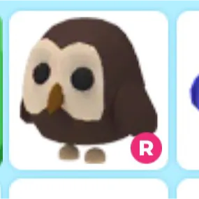 ride owl