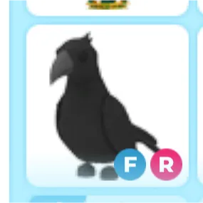 fr crow 🐦‍⬛